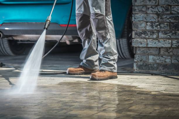 Best Patio and Deck Pressure Washing  in Purvis, MS