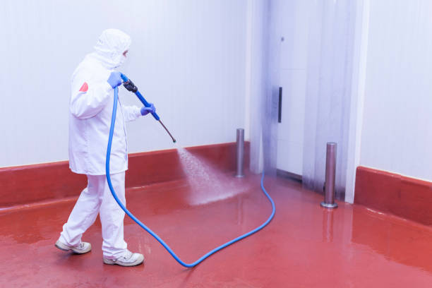 Best Restaurant Pressure Washing  in Purvis, MS
