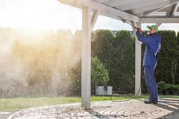 Best Driveway Pressure Washing  in Purvis, MS