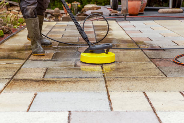 Best Solar Panel Cleaning  in Purvis, MS